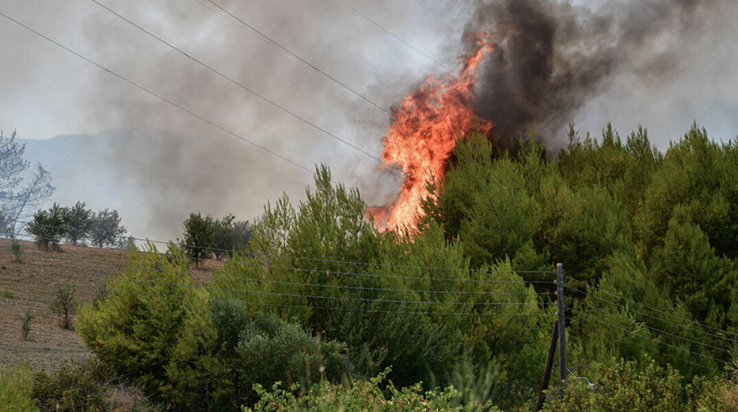 Φωτιά στην Κεφαλονιά