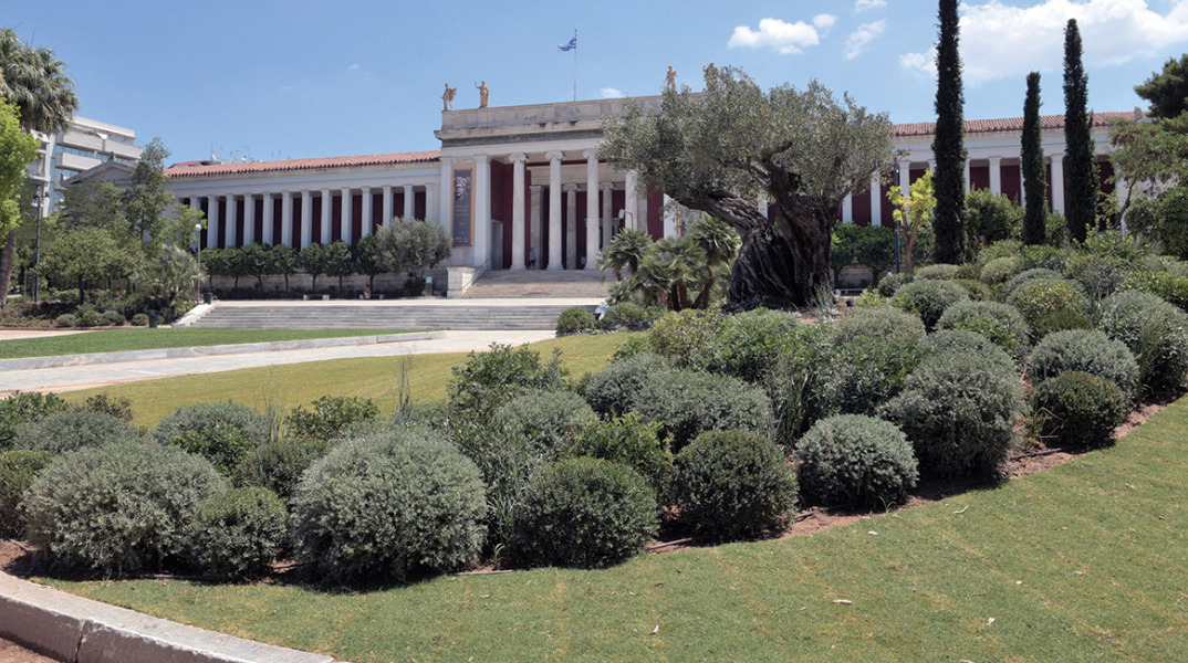 Ο νέος κήπος του Εθνικού Αρχαιολογικού Μουσείου