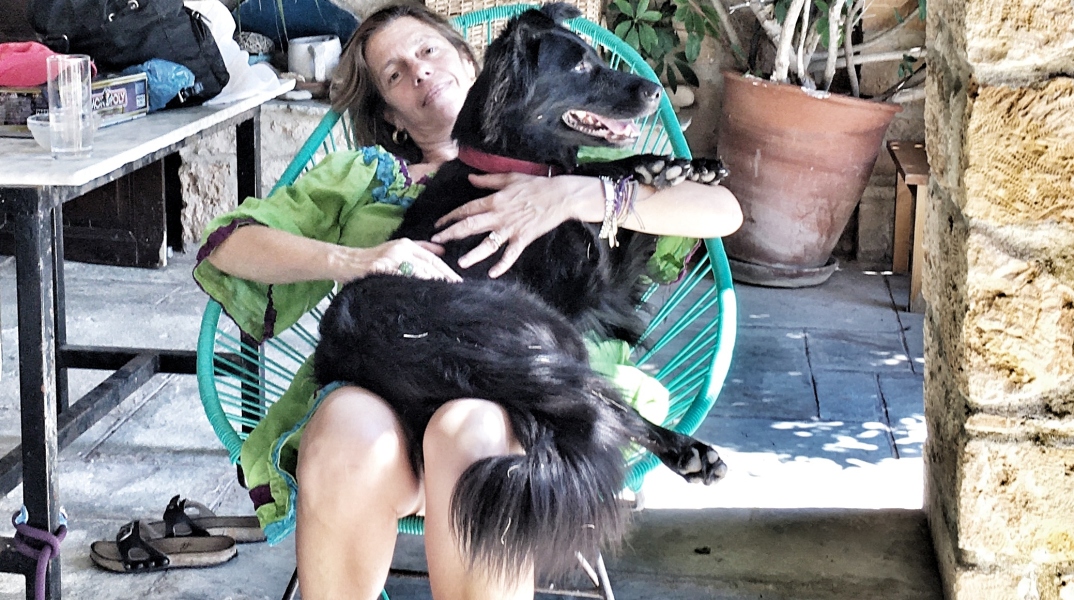 Ίρις Κρητικού 