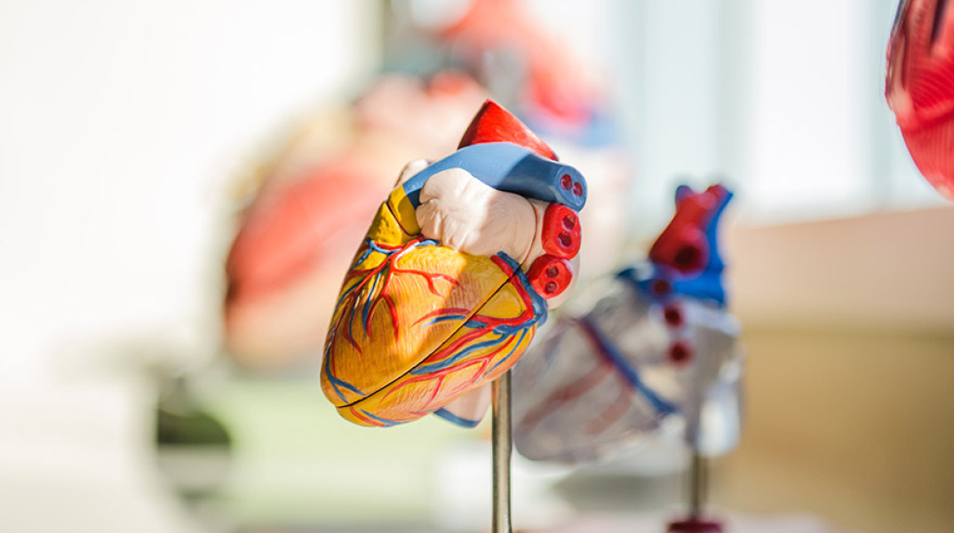 Ο Θανάσης Δρίτσας αναλύει ποια είναι η σχέση του νου με το σώμα και πώς μπορεί να προκαλέσουν καρδιαγγειακά προβλήματα