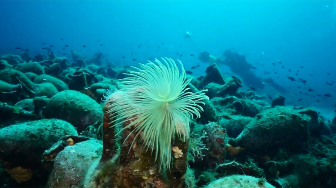 Αλόννησος: Το πρώτο υποβρύχιο μουσείο της Ελλάδας