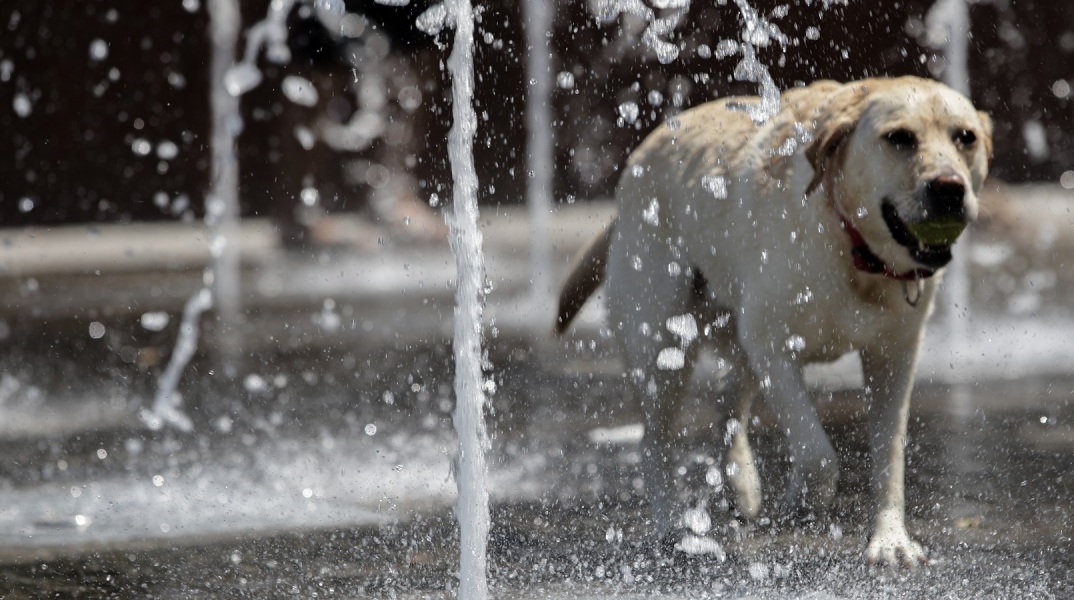 Τα κύρια χαρακτηριστικά του καιρού σήμερα, Κυριακή 2 Αυγούστου 2020 