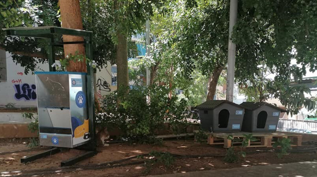 Δήμος Αθηναίων: Νέο πρόγραμμα για τα αδέσποτα - Σπιτάκια για γάτες σε γειτονιές της πόλης