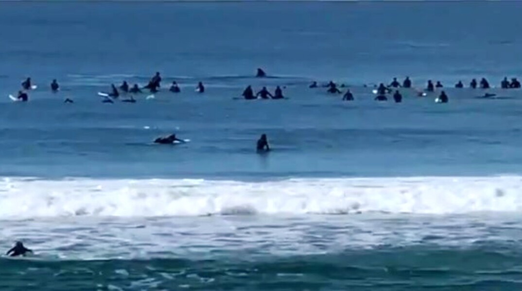 Σίδνεϊ: Δύο φάλαινες έκαναν βόλτες γύρω από σέρφερ (video)