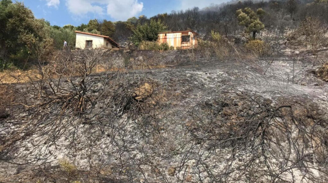 Πυρκαγιά στη Μεσσηνία: Αναστάτωση στον Δήμου Χανδρινού από τη φωτιά που ξέσπασε κοντά σε κατοικίες