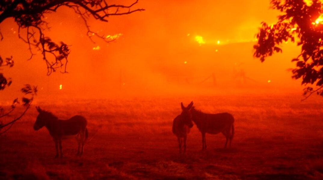 Φωτιές στην Καλιφόρνια 