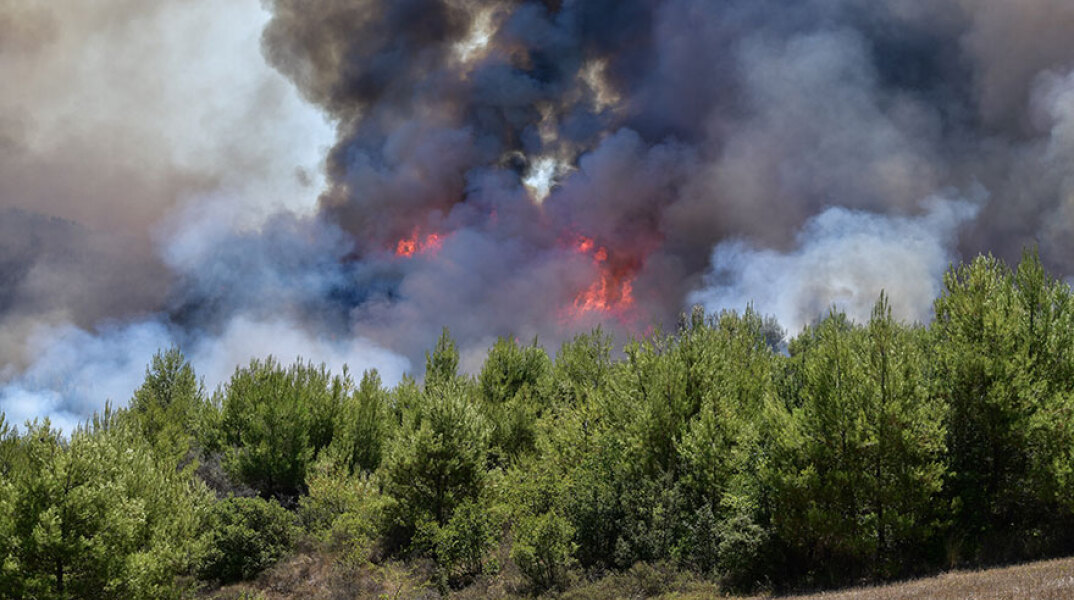 Δασική πυρκαγιά