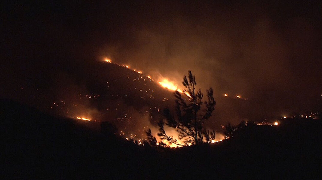 Δασική πυρκαγιά (ΦΩΤΟ ΑΡΧΕΙΟΥ)