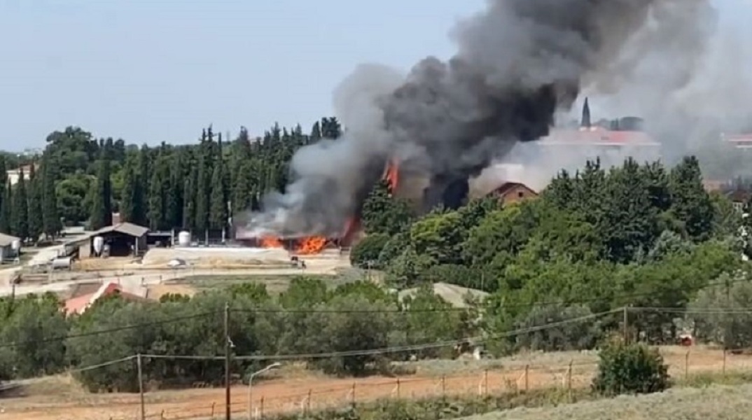 Φωτιά στην Αμερικανική Γεωργική Σχολή Θεσσαλονίκης