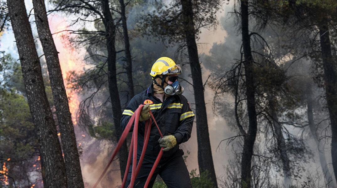 Δασική πυρκαγιά