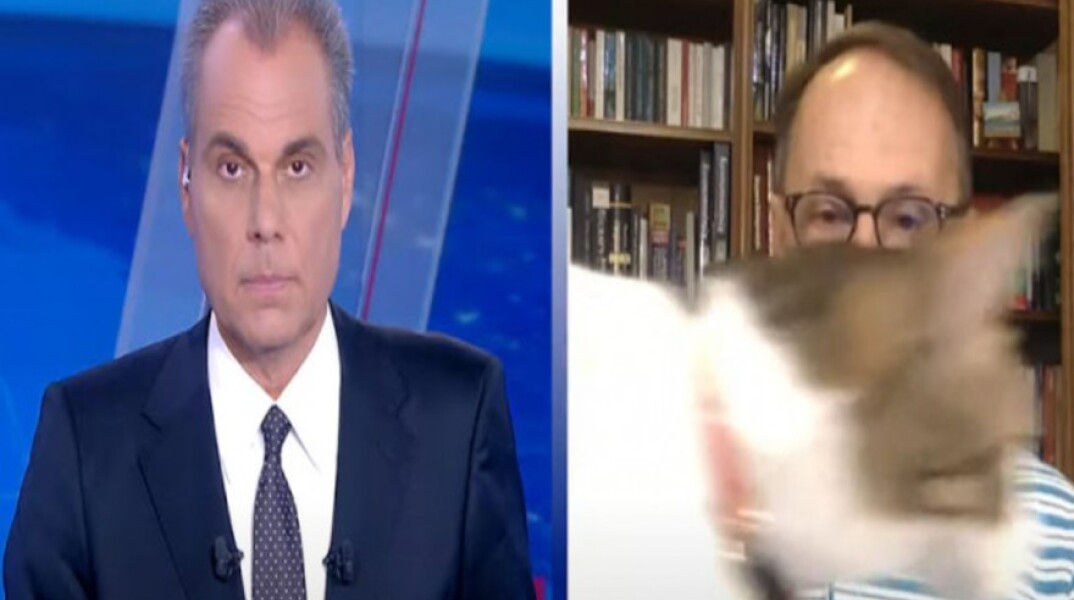 Η γάτα του Νίκου Σύψα στο δελτίο ειδήσεων