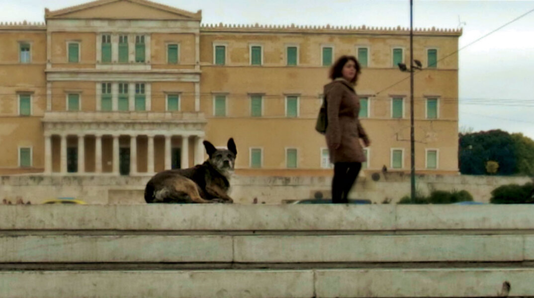 Κριτική για την ταινία «Οι άγνωστοι Aθηναίοι»