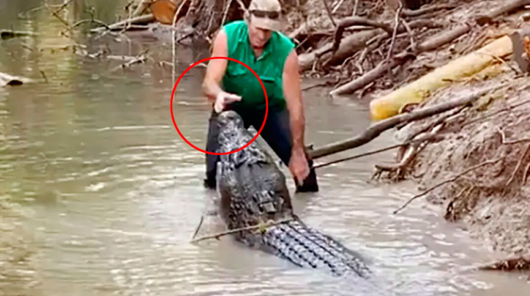 Ο Ματ Ράιτ απωθεί με γυμνά χέρια κροκόδειλο στην Αυστραλία