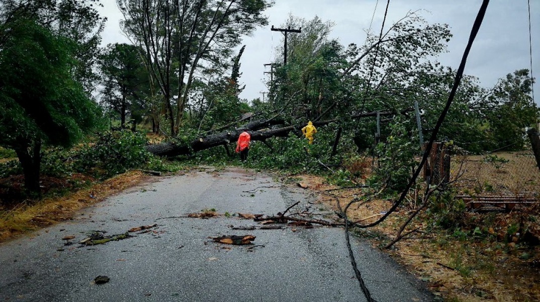 Ιανός - Καταστροφές - Ζάκυνθος