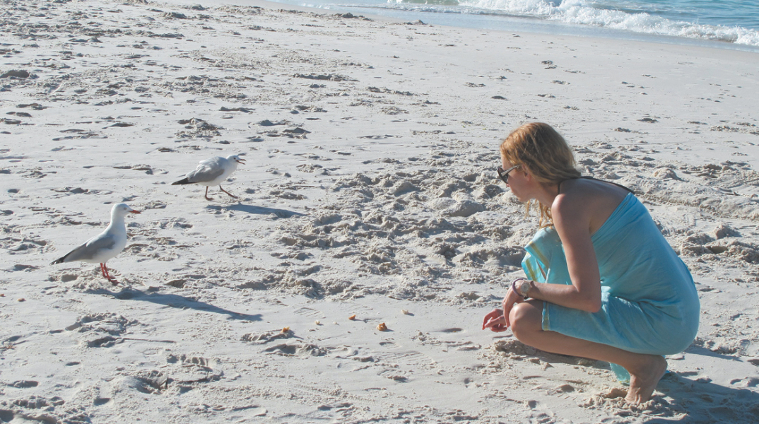 H Σύρος της Έλενας Σκουλά