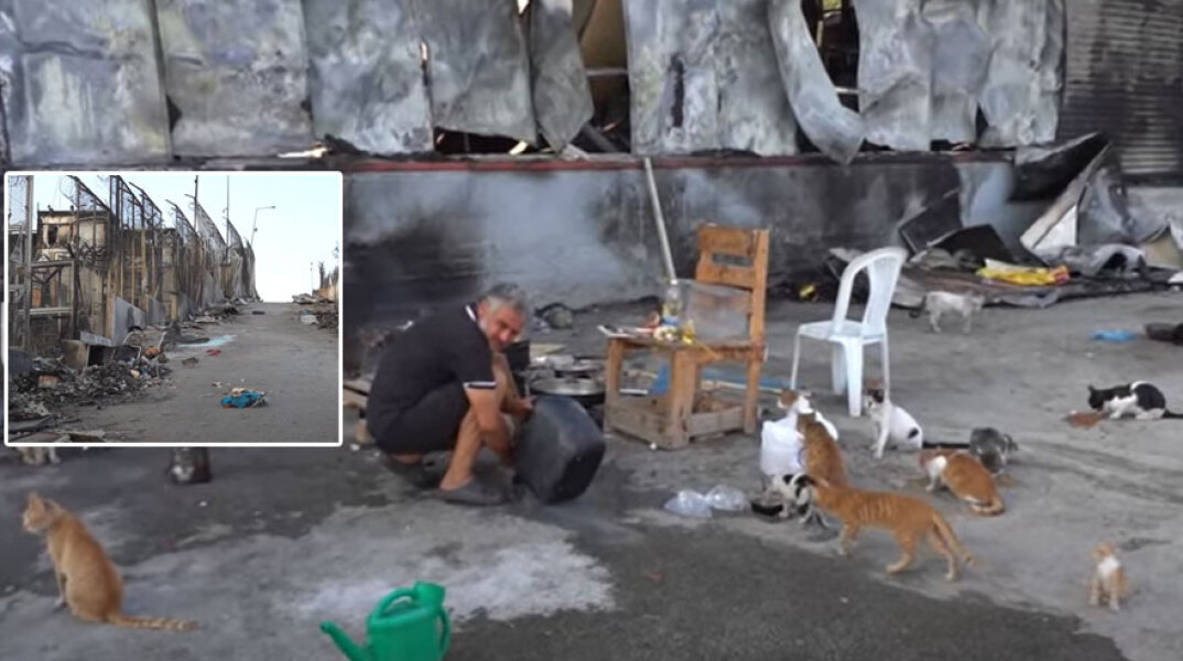 Μετανάστες και πρόσφυγες επιστρέφουν στη Μόρια για να δώσουν τροφή και νερό στα αδέσποτα