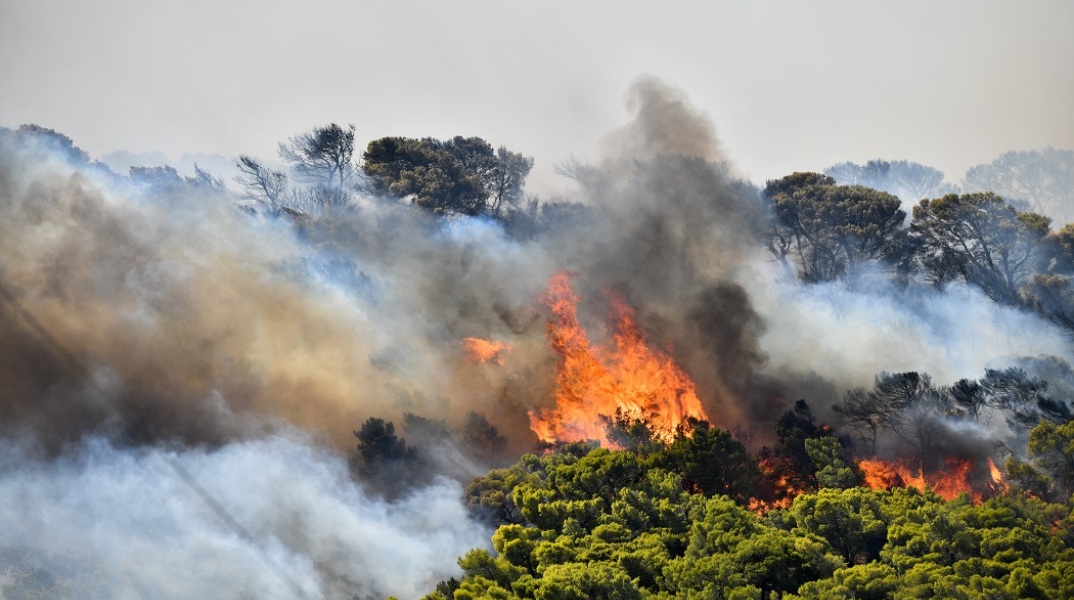 Φωτιά σε δασική έκταση 