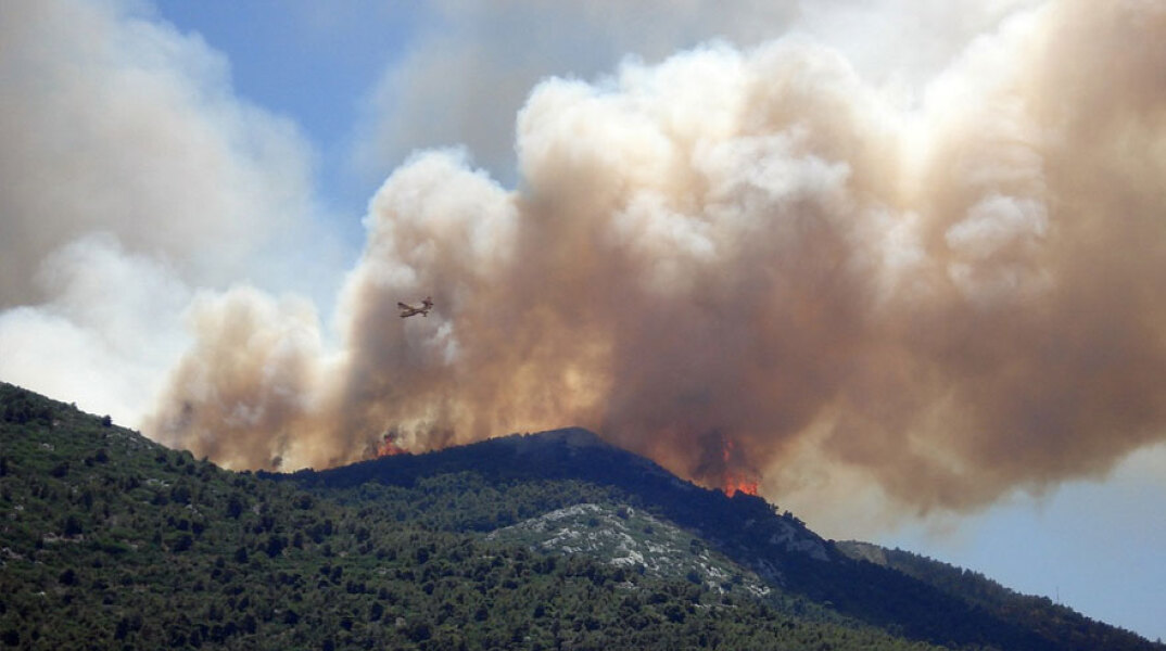 Αεροσκάφος επιχειρεί σε πυρκαγιά στο δάσος