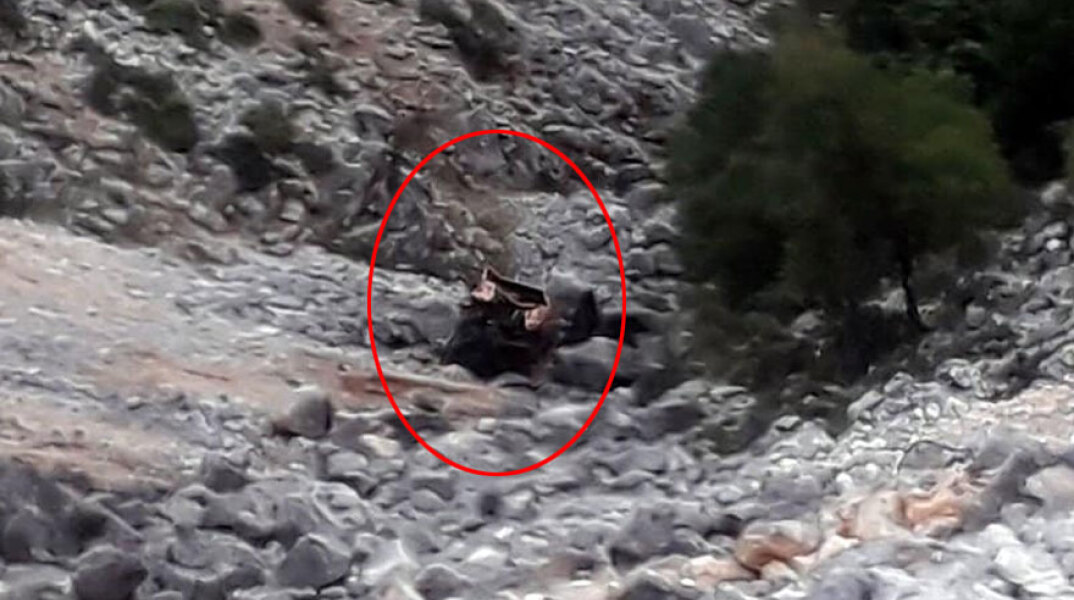 Τροχαίο δυστύχημα στο Αγρίνιο - Το αυτοκίνητο που έπεσε στον γκρεμό