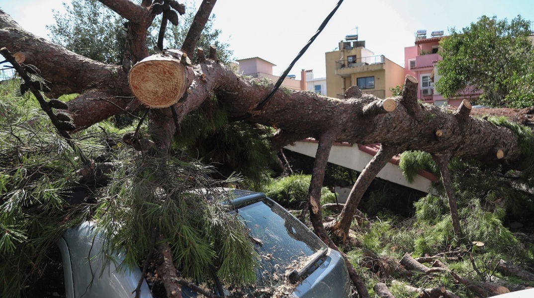 Πτώσεις δέντρων στο Νέο Ηράκλειο