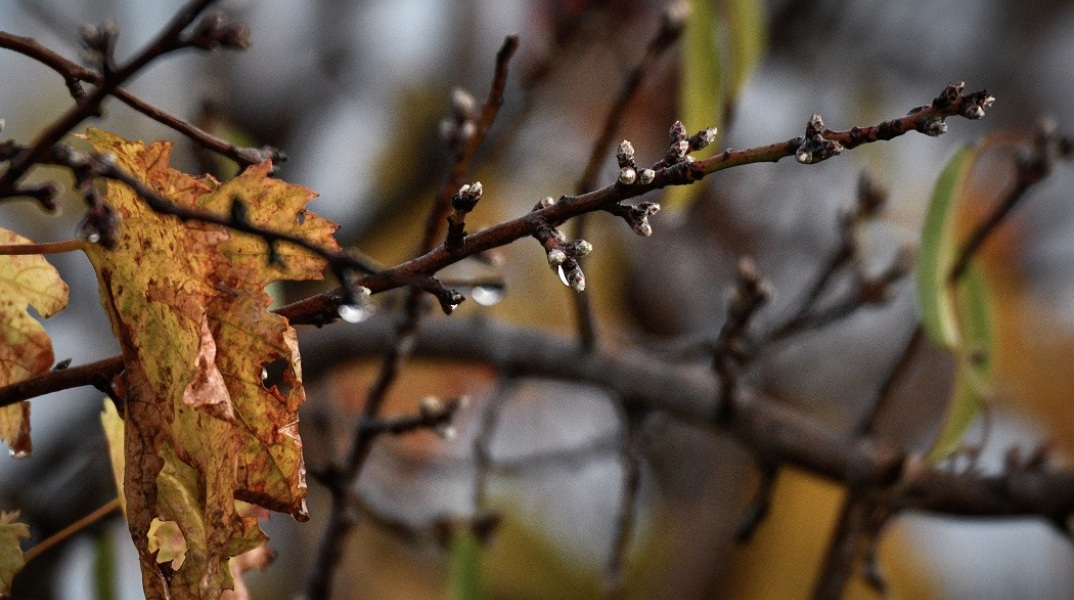 Στιγμιότυπο Φθινοπώρου