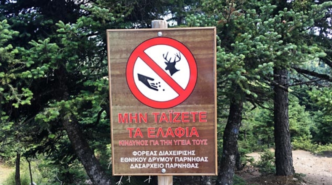 Πινακίδα «Μην ταΐζετε τα ελάφια» στην Πάρνηθα