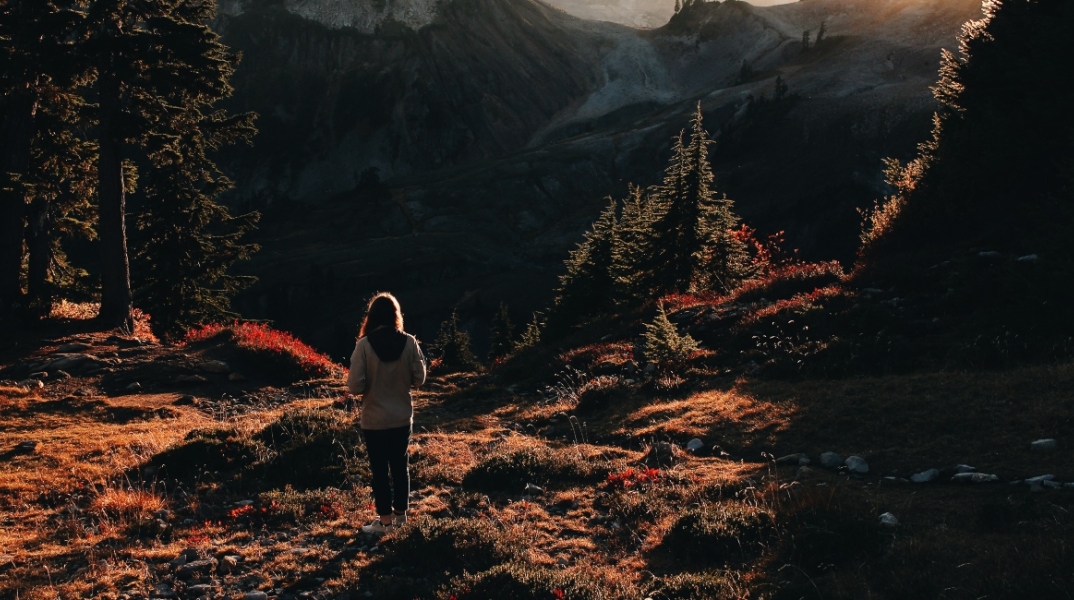 Τα Ζώδια της Πέμπτης 29 Οκτωβρίου 2020: Οι ημερήσιες αστρολογικές προβλέψεις από την Ευαγγελία Τσαβδάρη.