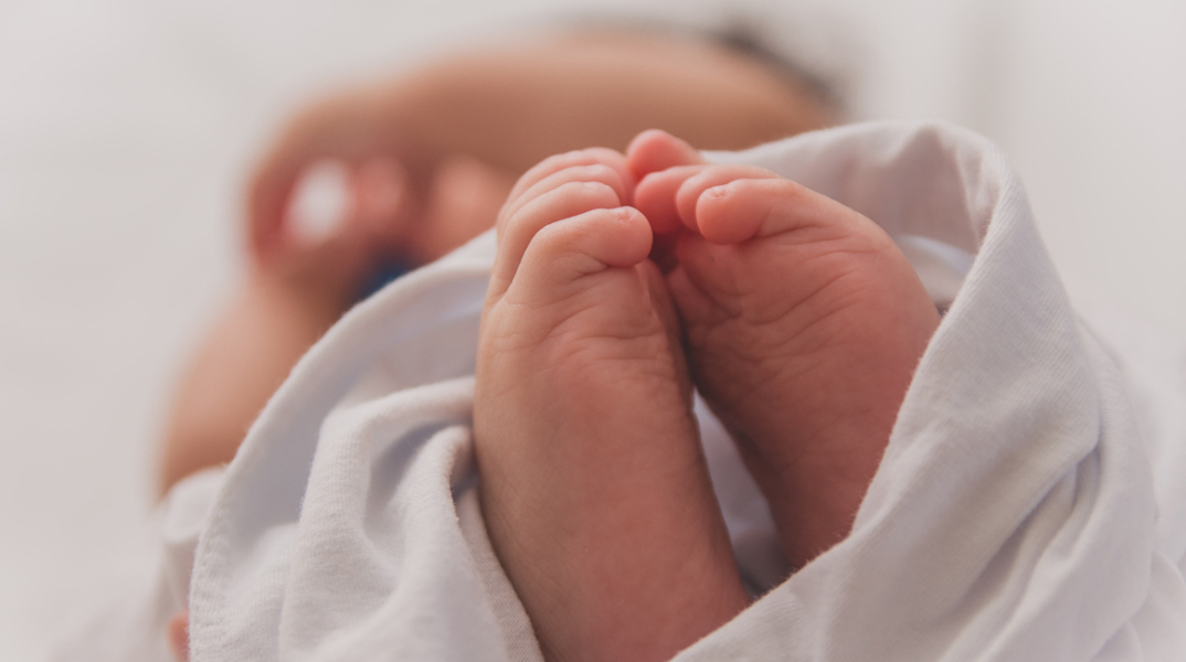 luma-pimentel--unsplash