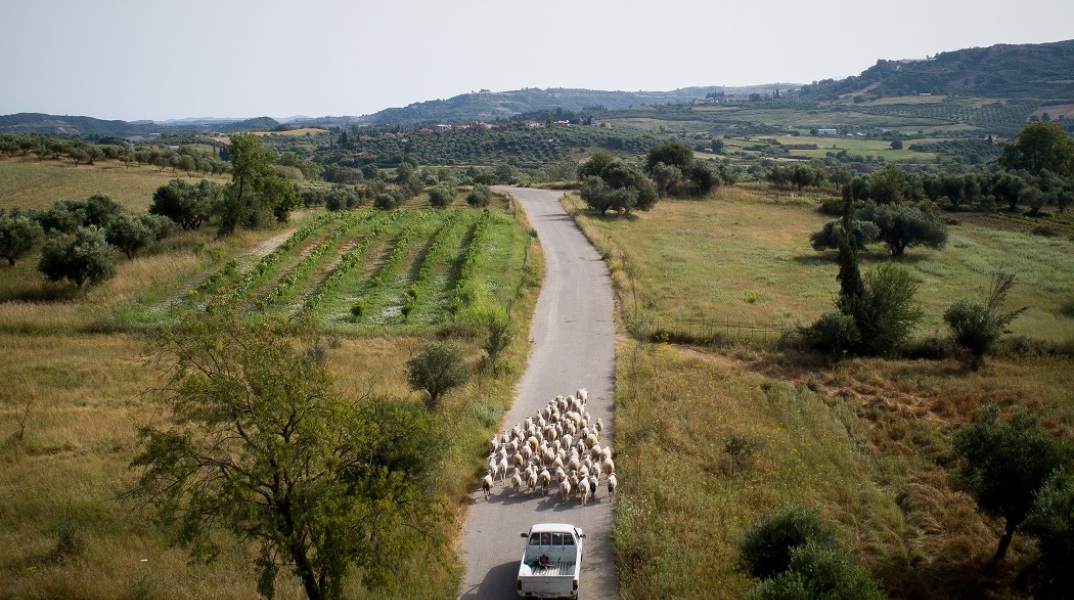 Χωράφια-Κλιματική Αλλαγή