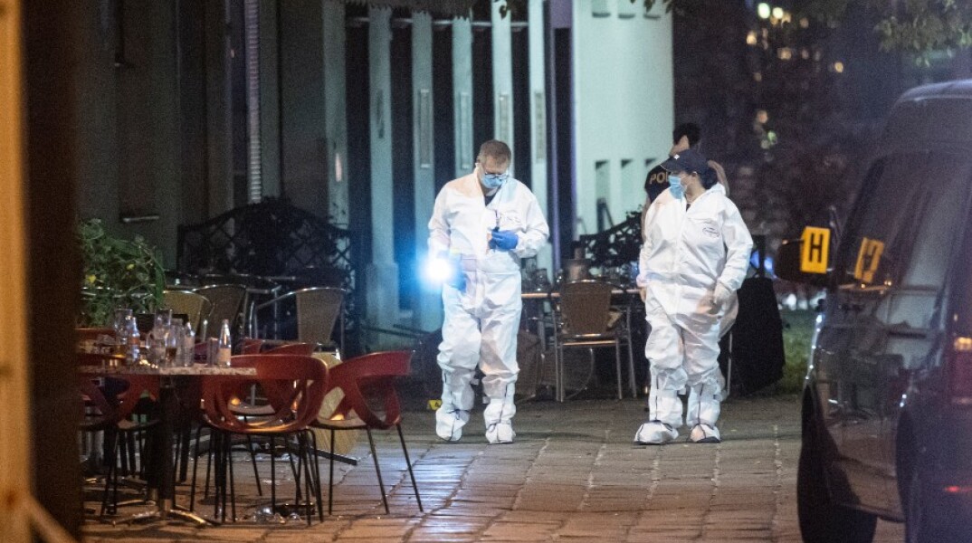 Βιέννη επίθεση