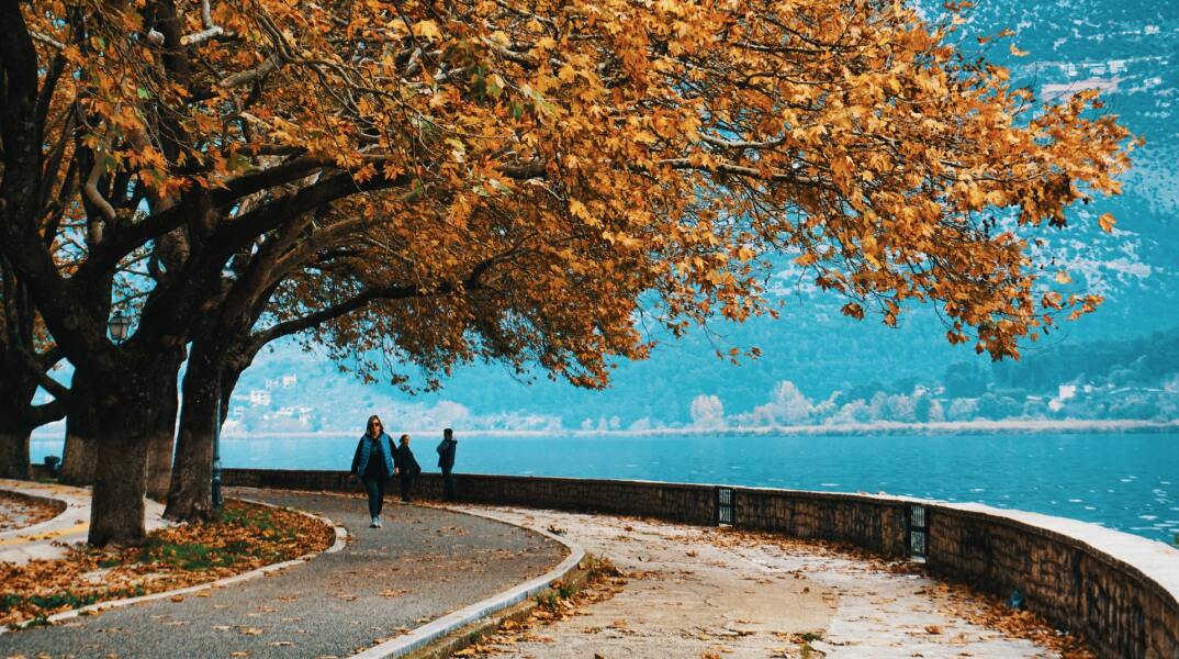 Χ. Μηλιώνης