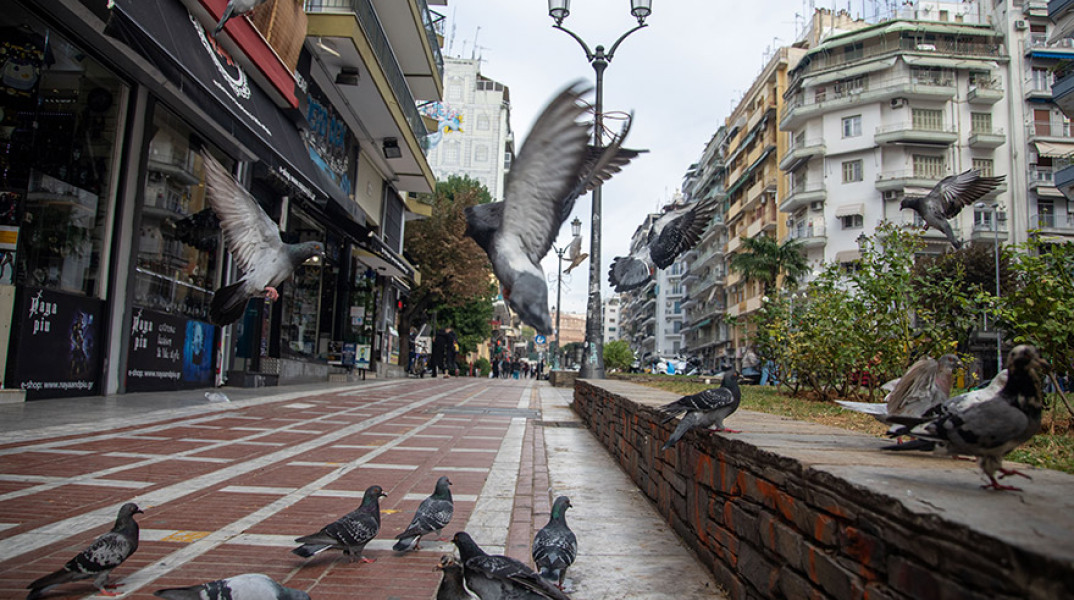 ΣΤΙΓΜΙΟΤΥΠΑ ΑΠΟ ΤΗΝ ΘΕΣΣΑΛΟΝΙΚΗ 