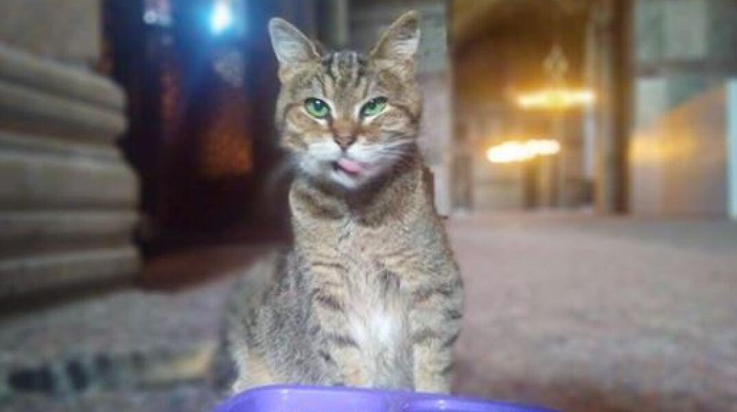 hagia-sofia-gata.jpg
