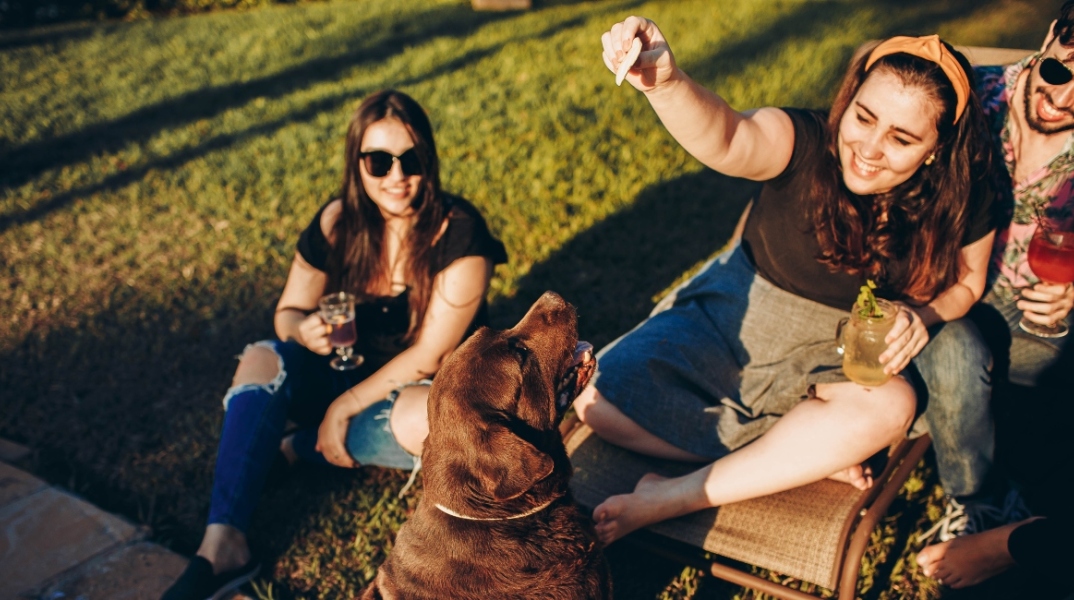 Τα Ζώδια της Τετάρτης 11 Νοεμβρίου 2020: Οι ημερήσιες αστρολογικές προβλέψεις από την Ευαγγελία Τσαβδάρη.