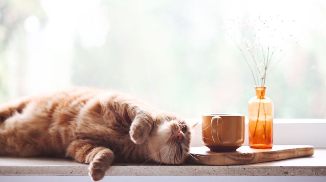 5 συμβουλές για να τα καταφέρεις σε αυτή την καραντίνα