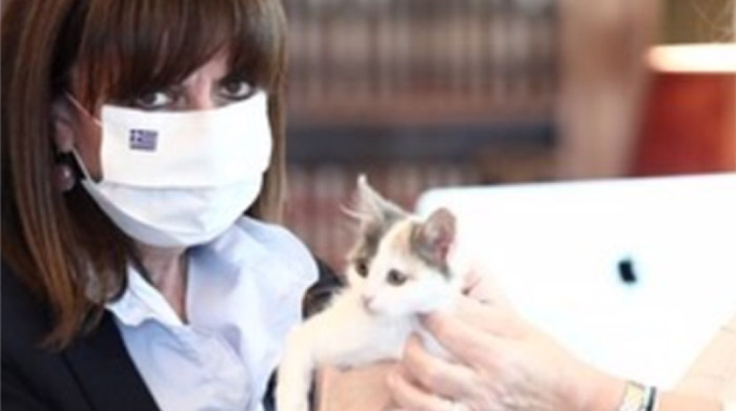 Η Κατερίνα Σακελλαροπούλου υιοθέτησε ένα αδέσποτο γατάκι 