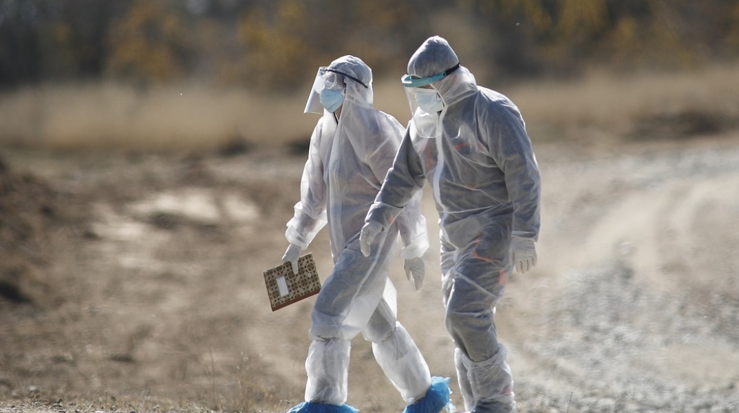 Κλιμάκιο της Κτηνιατρικής Υπηρεσίας Κοζάνης σε φάρμα εκτροφής μινκ