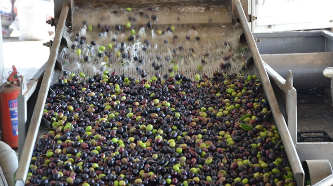 Ελαιοτριβείο