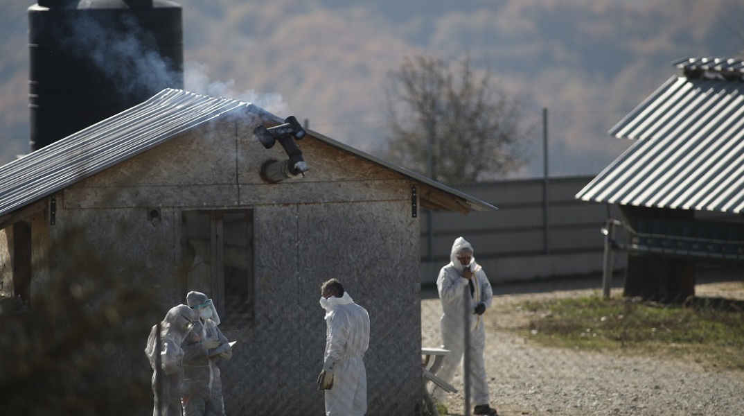 Φάρμα εκτροφής γουνοφόρων ζώων (βιζόν)