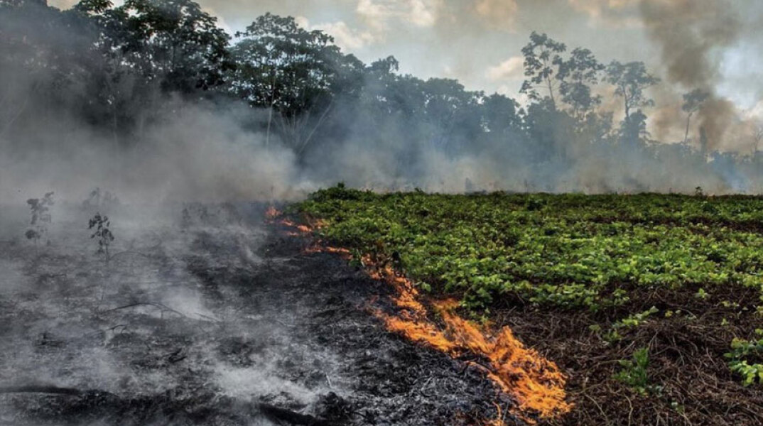 Καμένες εκτάσεις στην Αμαζονία