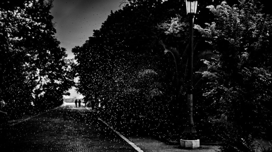 Πεδίον του Άρεως