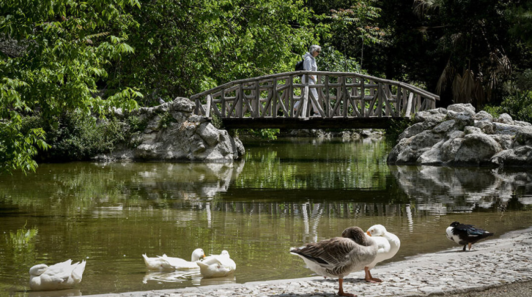 Εθνικός Κήπος (ΦΩΤΟ ΑΡΧΕΙΟΥ)