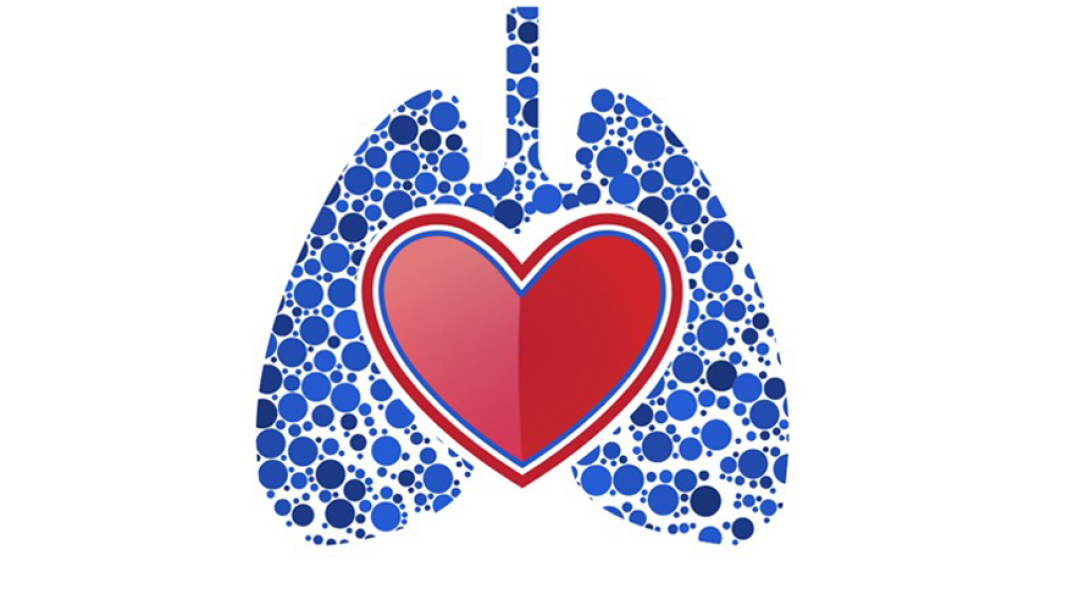 ​«ΑΝΑΣΑ ΖΩΗΣ» για την υγεία του Πνεύμονα