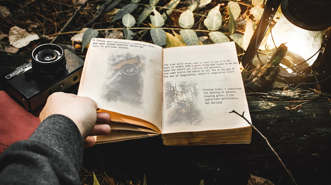 Αστυνομικά βιβλία