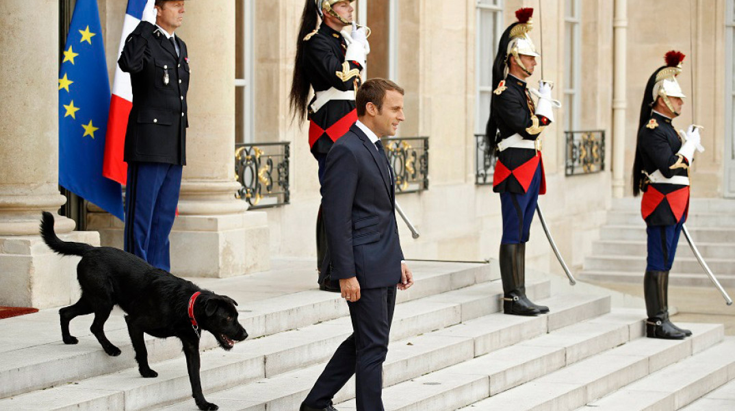  Ο πρόεδρος της Γαλλίας, Εμανουέλ Μακρόν, με τον σκύλο του, Nemo