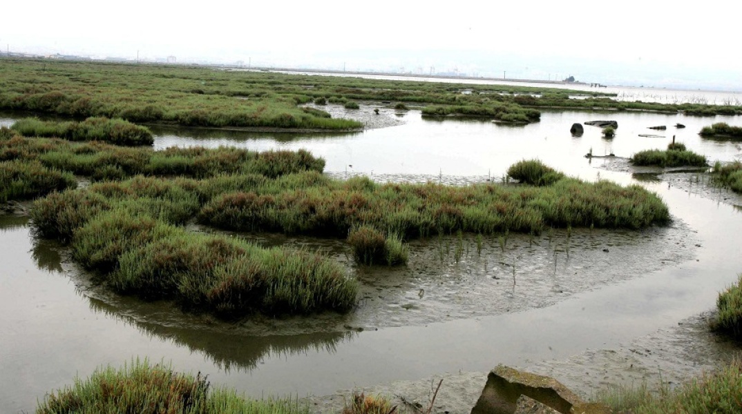 Ο γαλλικός ποταμός