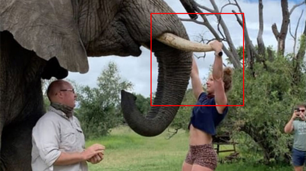 Γυμναστική στηριζόμενη στους χαυλιόδοντες ελέφαντα κάνει η γυμνάστρια Έμμα Ρόμπερτς στη Νότια Αφρική, προκαλώντας σάλο