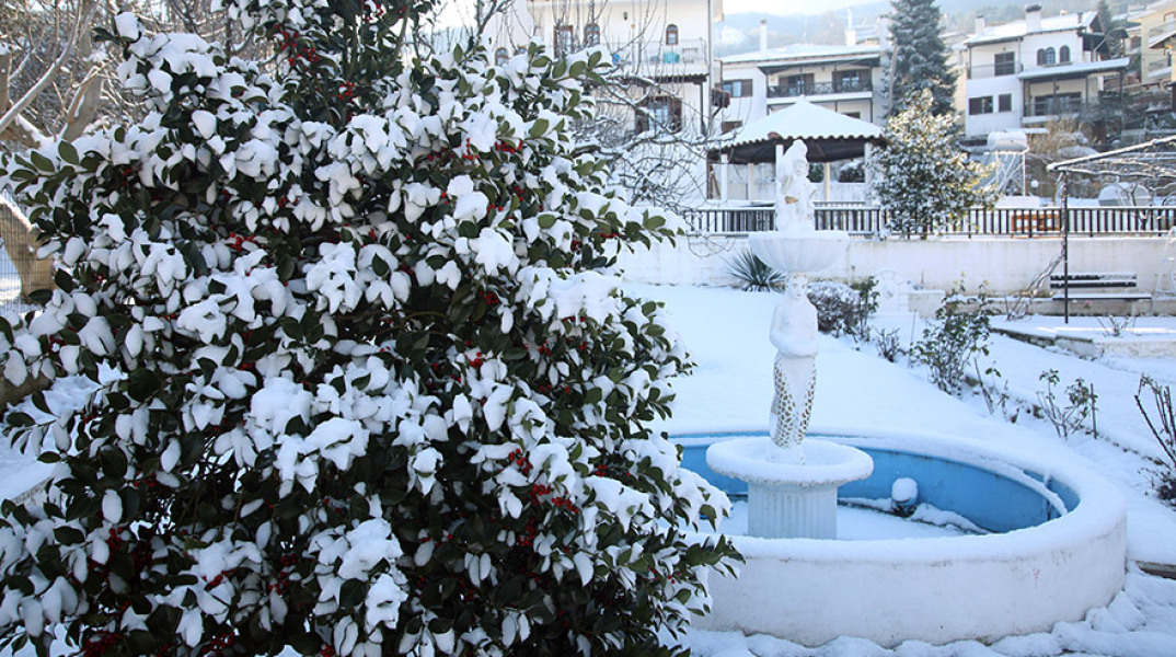  ΚΑΚΟΚΑΙΡΙΑ ΛΕΑΝΔΡΟΣ / ΧΙΟΝΙΑ ΣΤΟ ΧΟΡΤΙΑΤΗ ΘΕΣΣΑΛΟΝΙΚΗΣ 