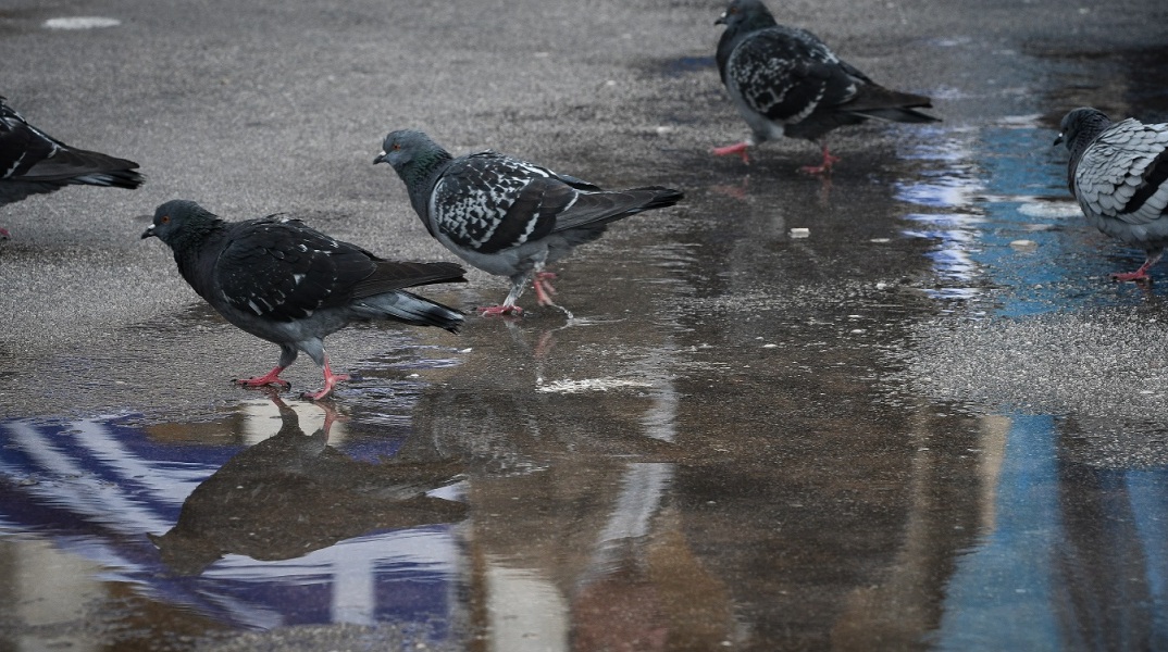 Συγκέντρωση κατά της συμφωνίας των Πρεσπών, στο Σύνταγμα