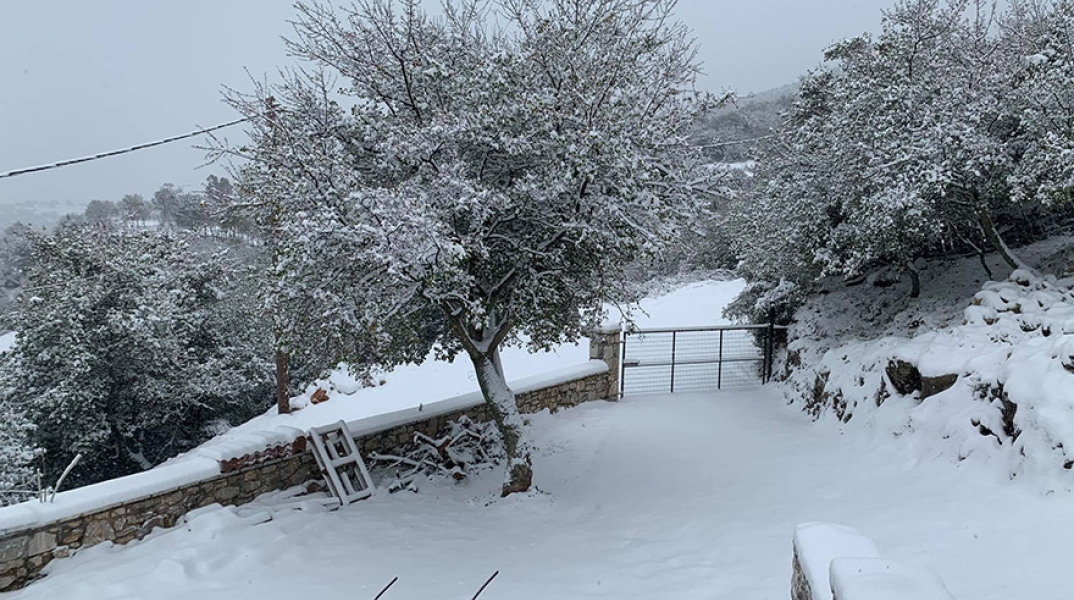 ΑΡΓΟΛΙΔΑ- ΧΙΟΝΙΑ ΣΤΗ ΚΑΡΥΑ ΚΟΛΟΚΟΤΡΩΝΙΤΣΙ